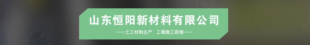 山东糖心VLOG免费网页版新材料有限公司介绍